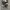 Converse 70s Hi Black White photo 1