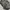 Puffer Jacket Daiz Men Boxy Fit photo 4