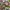 Guess Collection Jam tangan couple photo 3