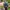 Guess Collection Jam tangan couple photo 2