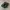 Keen Uneek Look alike Shoes / sandals Green photo 6