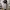 Y2K Sweatpants & Joggers Pria white gray photo 1