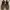 Nike Streetwear Sneakers Pria tan brown photo 2