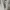 Military Bomber Jacket Korea Reissue - 2606005 photo 4