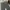 Luxury Sportswear Casual pants Pria gray photo 3