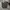 Luxury Sportswear Casual pants Pria gray photo 2