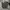 Luxury Sportswear Casual Pants Pria Gray