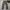 Luxury Sportswear Casual pants Pria gray photo 1