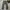 Luxury Sportswear Casual Pants Pria Gray