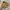 Carhartt detroit jacket J97PTL photo 2