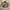 Carhartt detroit jacket J97PTL photo 7