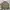 Biker Casual Bomber jacket Pria green photo 7