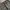 WRANGLER GREY WASHED JEANS photo 10