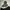 Under Armour Sportswear Track jacket Pria white gray photo 2