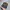 TOPI PENDLETON WOOL SNAPBACK HATS photo 2