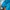 Adidas Sportswear Windbreaker Wanita blue photo 4