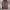 Celana Baggy Brown Jeans Gombrong STANDARD MUSINSA photo 1