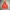 Millet Sportswear Windbreaker Pria orange photo 1