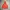 Millet Sportswear Windbreaker Pria Orange