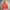 Millet Sportswear Windbreaker Pria orange photo 6