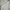 Sportswear Track jacket Pria white photo 6