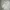 Sportswear Track jacket Pria white photo 4