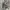 JORTS CARGO CAMO photo 6