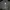 Quiksilver Waterman