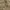 Indie Minimalist Sweater Pria tan cream photo 4