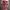Lmml studio korea pink gingham mermaid front slit skirt photo 2