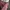 Lmml studio korea pink gingham mermaid front slit skirt photo 4