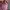 Lmml studio korea pink gingham mermaid front slit skirt photo 6