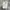 CHAPS CELANA CARGO PENDEK photo 2