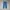 Jeans C17 photo 3