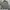 ZARA Luxury Casual Harrington jacket Pria multicolor photo 1
