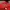 Dickies Avant Garde Harrington jacket Pria red photo 4
