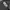 quechua hiking pants photo 8