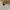 Polo Ralph Lauren Minimalist Casual Kids white pink photo 2