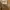 Burgus Plus carpenter pants  photo 2