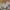Vintage Luxury Kids white blue photo 3