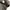 Gorpcore Style ESDY Utility Tactical Camouflage Jacket photo 7