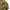 Gorpcore Style ESDY Utility Tactical Camouflage Jacket photo 3