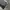 Gallery Dept Streetwear Y2K Sweatpants & Joggers Pria black gray photo 5