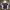 Hoodie Reebok X NFL Patriots