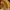 Timberland Yellow Icon photo 5