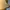 Timberland Yellow Icon photo 3