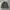 Undercoverism Vintage Y2K Parka Pria tan photo 4