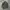 Undercoverism Vintage Y2K Parka Pria Tan