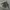 Undercoverism Vintage Y2K Parka Pria tan photo 5