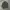 Undercoverism Vintage Y2K Parka Pria tan photo 3